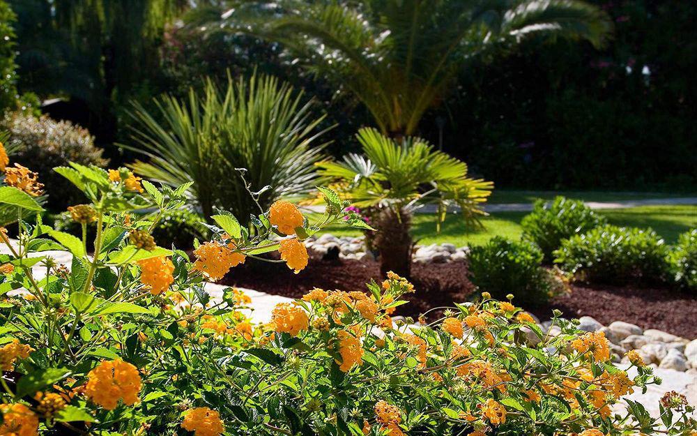 Le Cottage - Hotel & Spa Argeles-sur-Mer Bagian luar foto